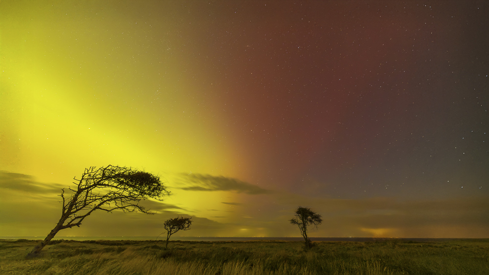 Platz 6 Conny Kleiner